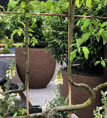 Soho Fibreglass Planter - Garden House Design